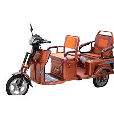 Electric Motor Pedicab